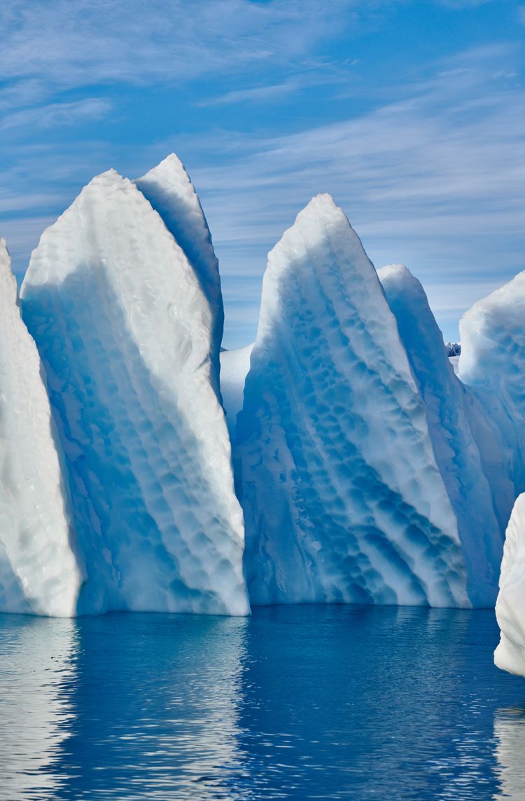 Iceberg in Port Charcot, Antarctica