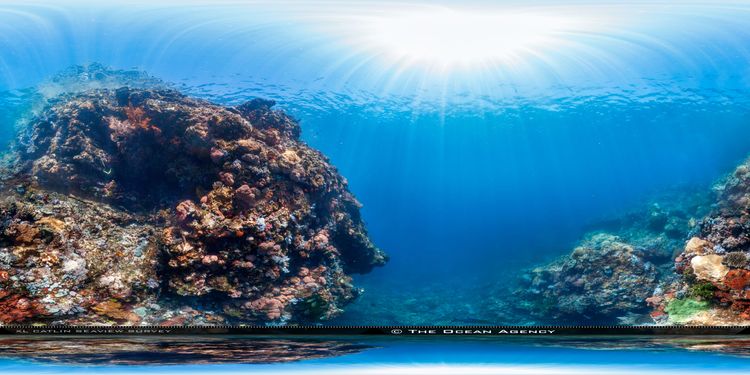 Underwater photograph at Komodo National Park